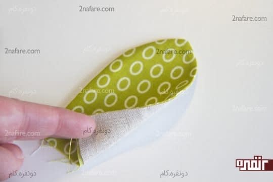 گوش خرگوش