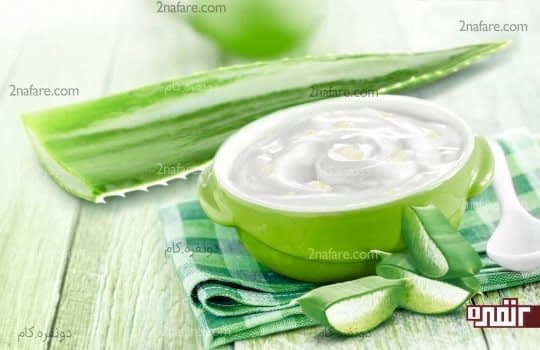 جلوگیری از شوره ی سر با ماسک آلوئه ورا و ماست