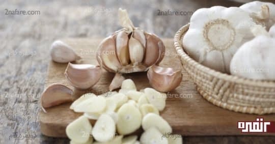 سیر