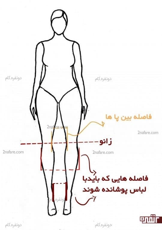 اندام پاهای پرانتزی