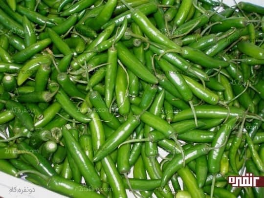 با غذاهای چرب فلفل سبز بخورید