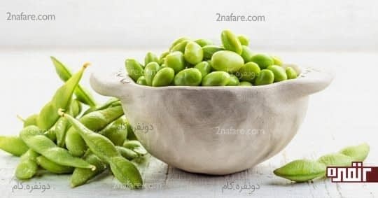 دانه های روغنی سویا