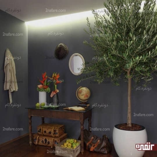 طبیعی جلوه دادن فضا