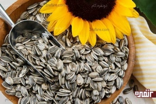 تخم آفتابگردان
