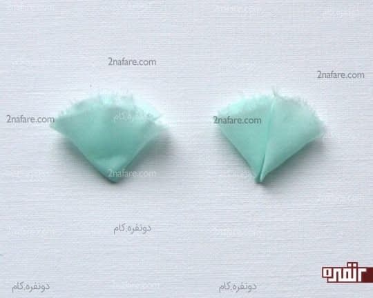 شکل نهایی گلبرگ ها