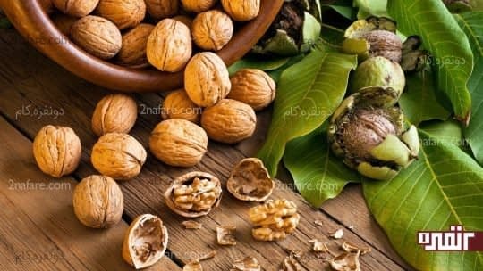 گردو، آجیلی با چربی غیر اشباع