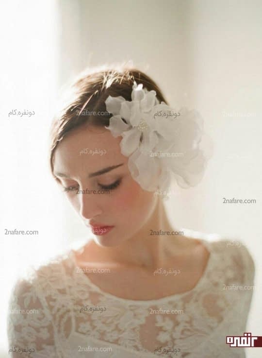 [تصویر:  %D8%AA%D9%88%D8%B1-%D8%B9%D8%B1%D9%88%D8...40x737.jpg]