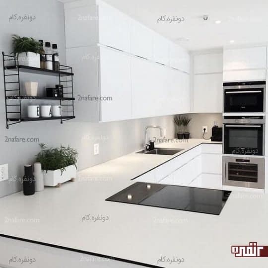 اضافه کردن چند گلدان گل در کنار قفسه های مشکی