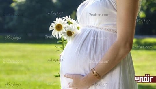 بارداری