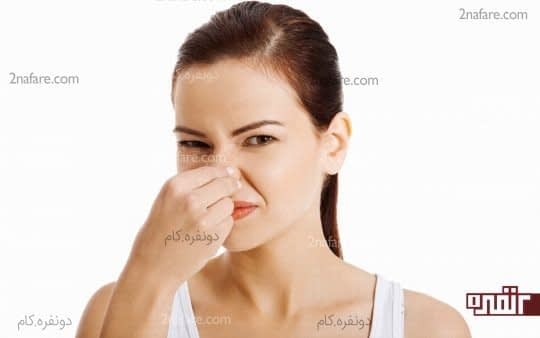 حس بویایی قوی تر