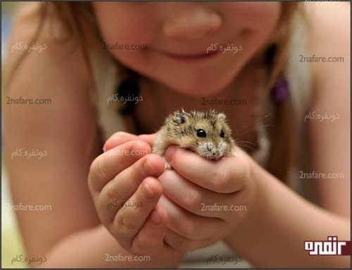 حیوانات خانگی مفید برای بچه ها
