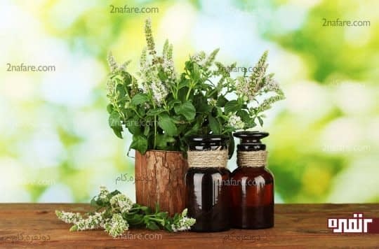 محصولات بهداشتی ارگانیک طبیعی و بدون مواد شیمیایی هستند