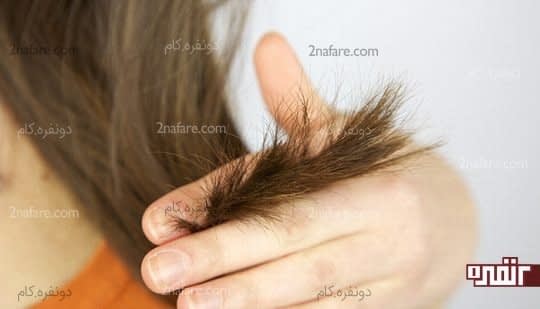 مقابله با موخوره