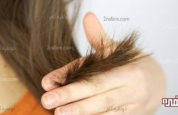 چطور جلوی موخوره رو بگیریم؟ مقابله با موخوره
