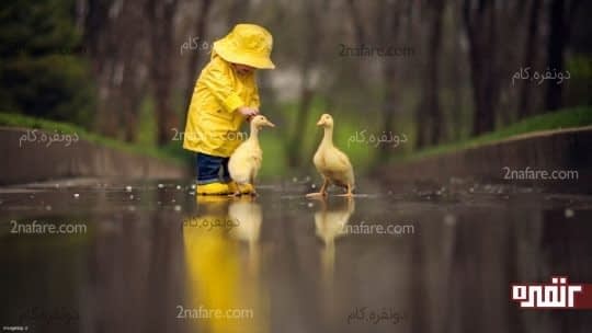 پیاده روی کودکان و حیوانات