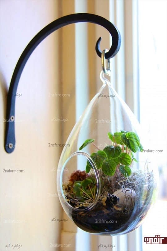 باغ شیشه ای معلق