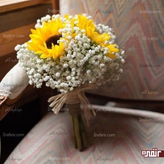 ترکیب آفتابگردان و ژیپسوفیلا