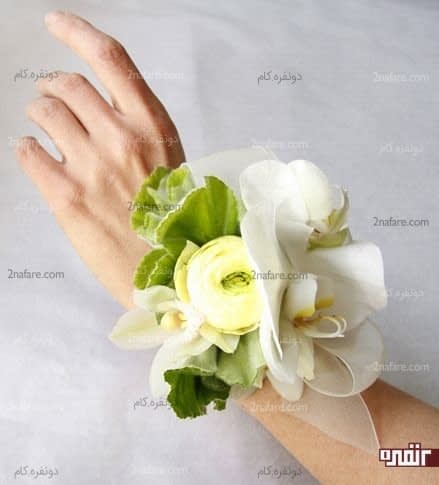 ترکیبی از ارکیده