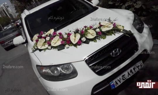 دیزاین زیبا و رنگارنگ