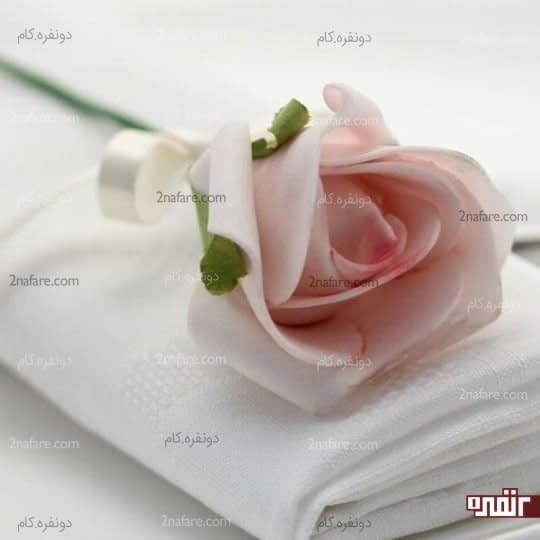 گل رز فومی صورتی رنگ