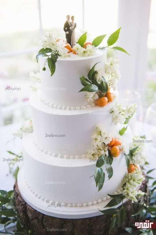 تزیین کیک عروسی با شاخه های کام کوات(نارنگی زینتی)