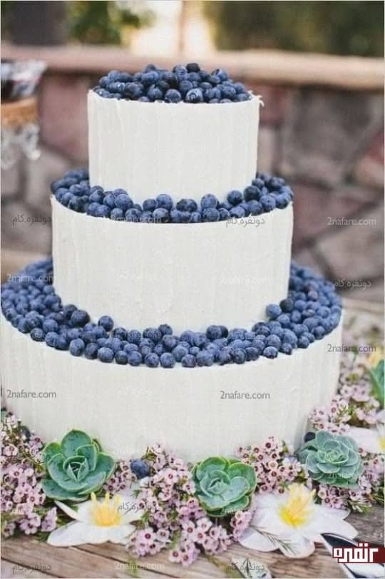 کیک زیبای عروسی با بلوبری