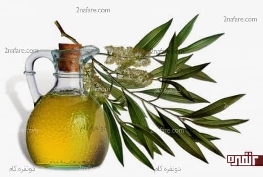 روغن درخت چای برای بیماری التهابی لگن