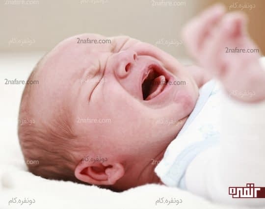 نفخ