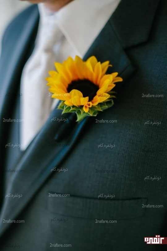 آفتابگردان