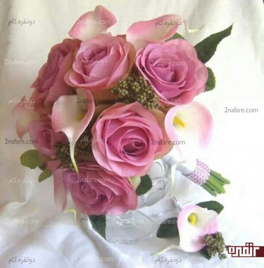ترکیب جذاب رز و شیپوری
