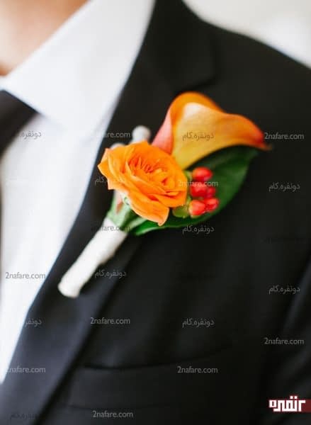 ترکیب رز و شیپوری