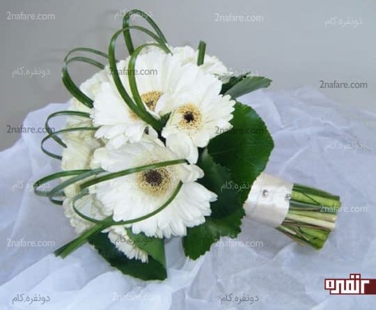دسته گل زیبای ژربرا
