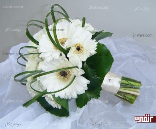 دسته گل سفید عروس با ژربرا