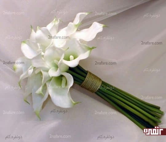 دسته گل شیپوری سفید