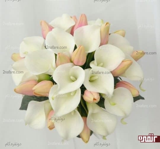 دسته گل شیپوری و لاله
