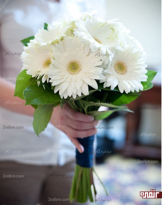 دسته گل عروس با ژربرا سفید