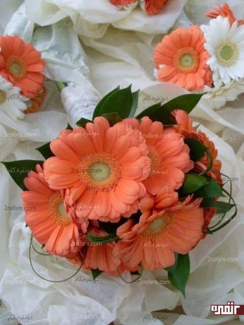 دسته گل عروس با گل ژربرا