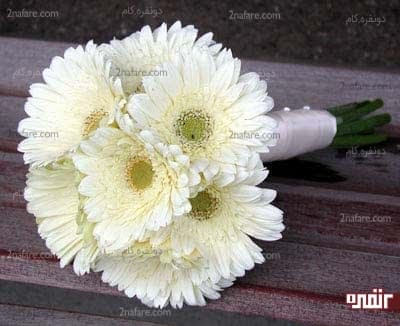 دسته گل ژربرای سفید
