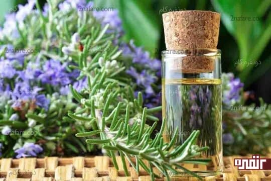 روغن نارگیل و اسانس رزماری