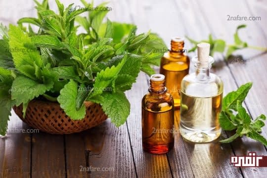 روغن نارگیل و روغن نعناع بیابانی
