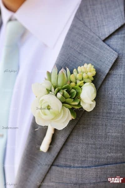 ساکولنت و صدتومنی