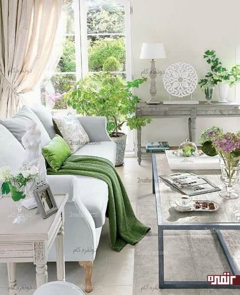 سبزی و طراوت طبیعت در کنار رنگ خاکستری