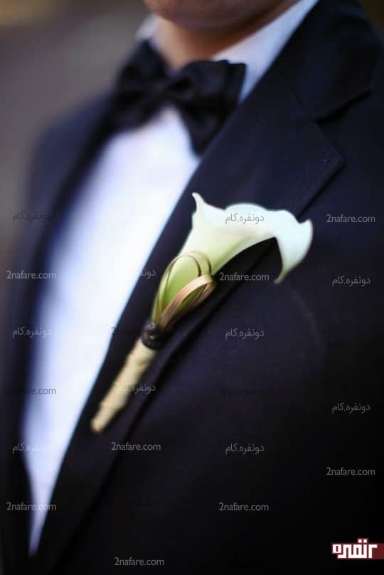 شیپوری سفید