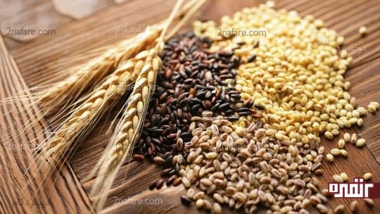 غلات برای تامین کربوهیدرات های سالم