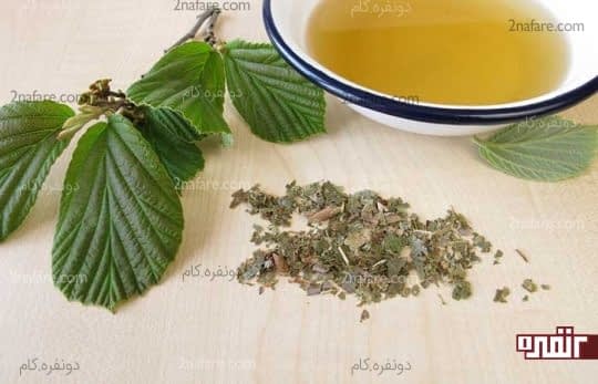 فندق افسونگر