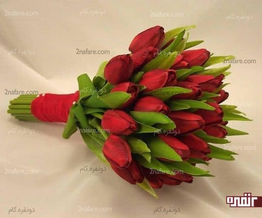 لاله ی قرمز و جذاب برای دسته گل عروس
