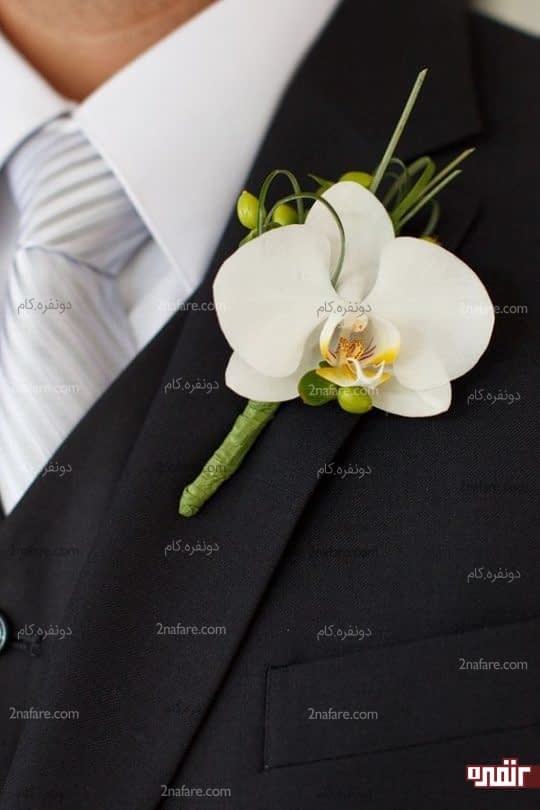 گل ارکیده برای یقه کت داماد