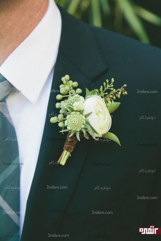 گل صد تومنی