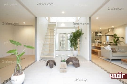 گیاهان نماد عنصر چوب از عناصر پنجگانه فنگ شویی در دکوراسیون داخلی