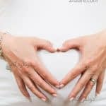 مراحل رشد جنین در بارداری